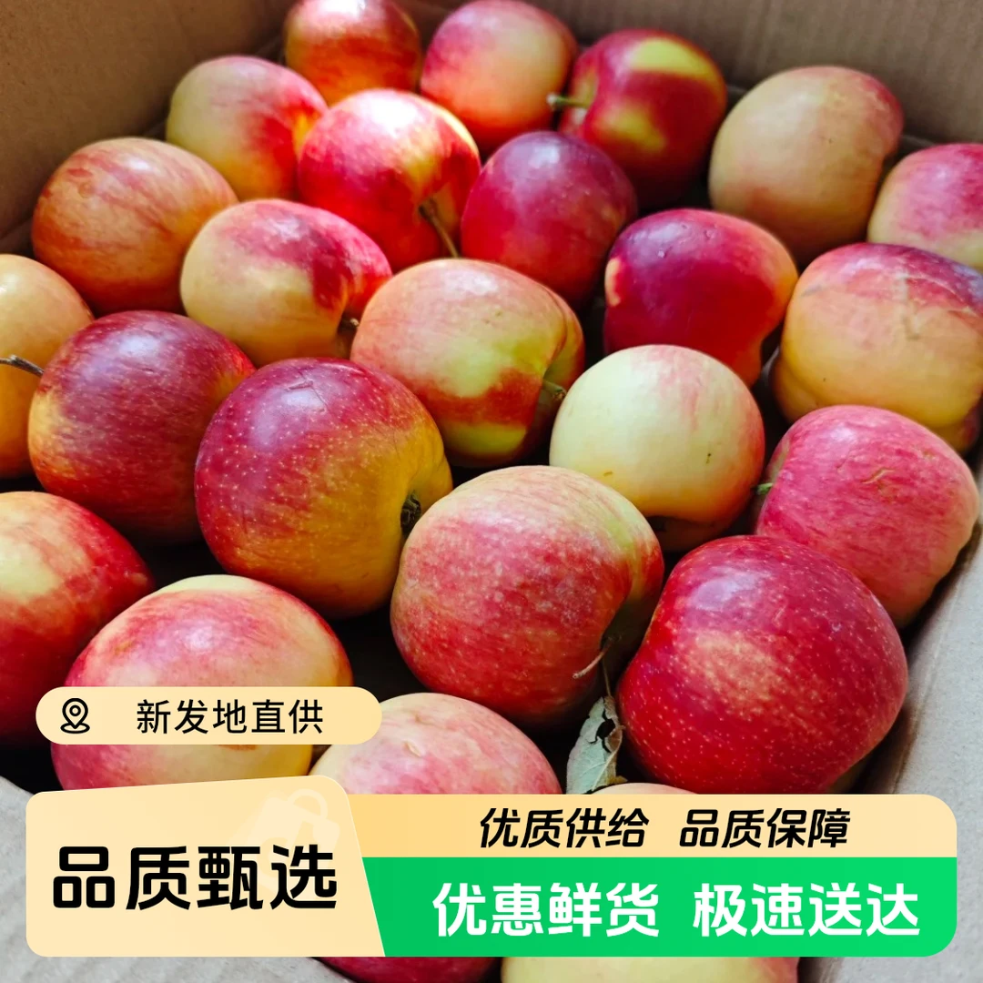 【嘎嘎脆甜】新疆嘎啦果苹果3斤新疆维吾尔自治区
