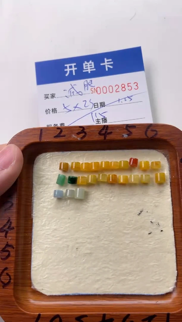 【闪购商品】翡翠颈饰未镶嵌00002853