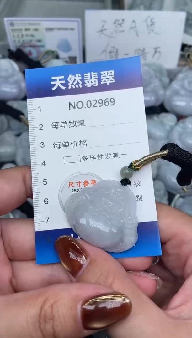 颈饰未镶嵌翡翠纯天然A货翡翠2969