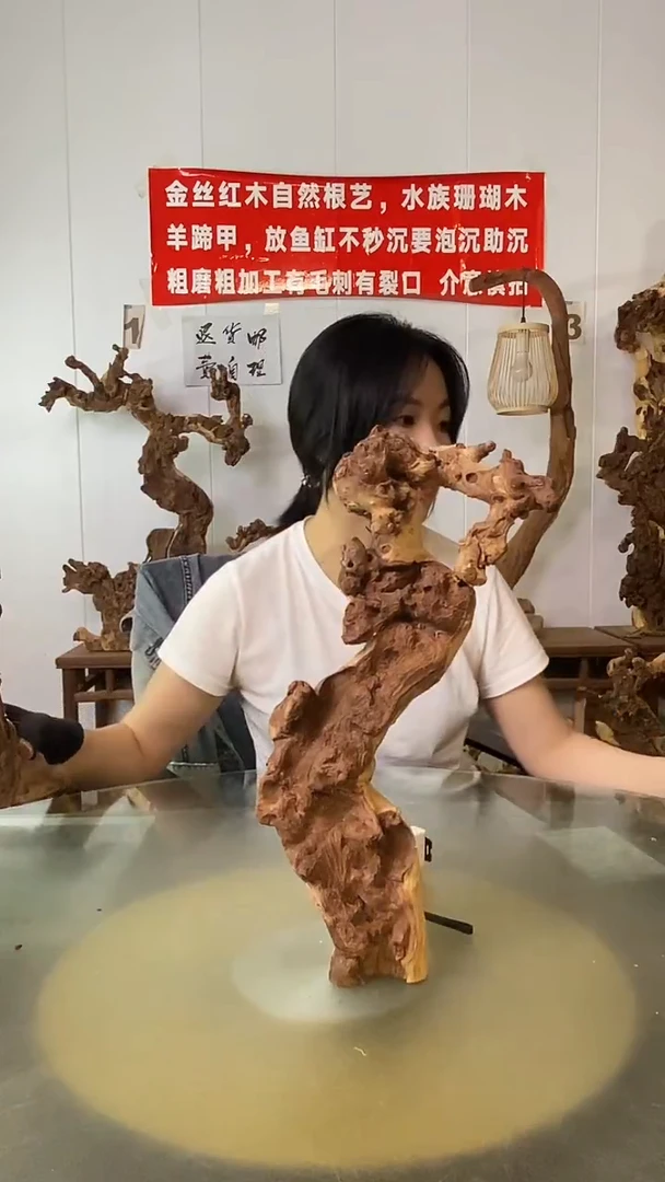 香榧木重*金丝红木 羊蹄甲