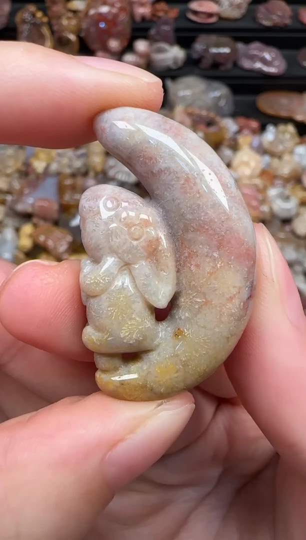 颈饰未镶嵌硅化珊瑚（珊瑚玉）288