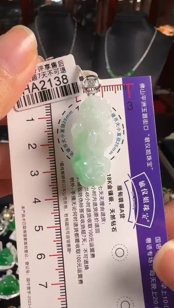 颈饰18K金镶嵌翡翠HA2138貔貅