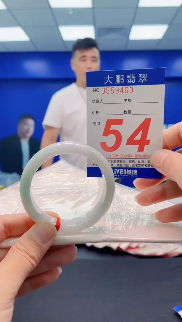 未镶嵌手镯翡翠AAAAAAAAA
