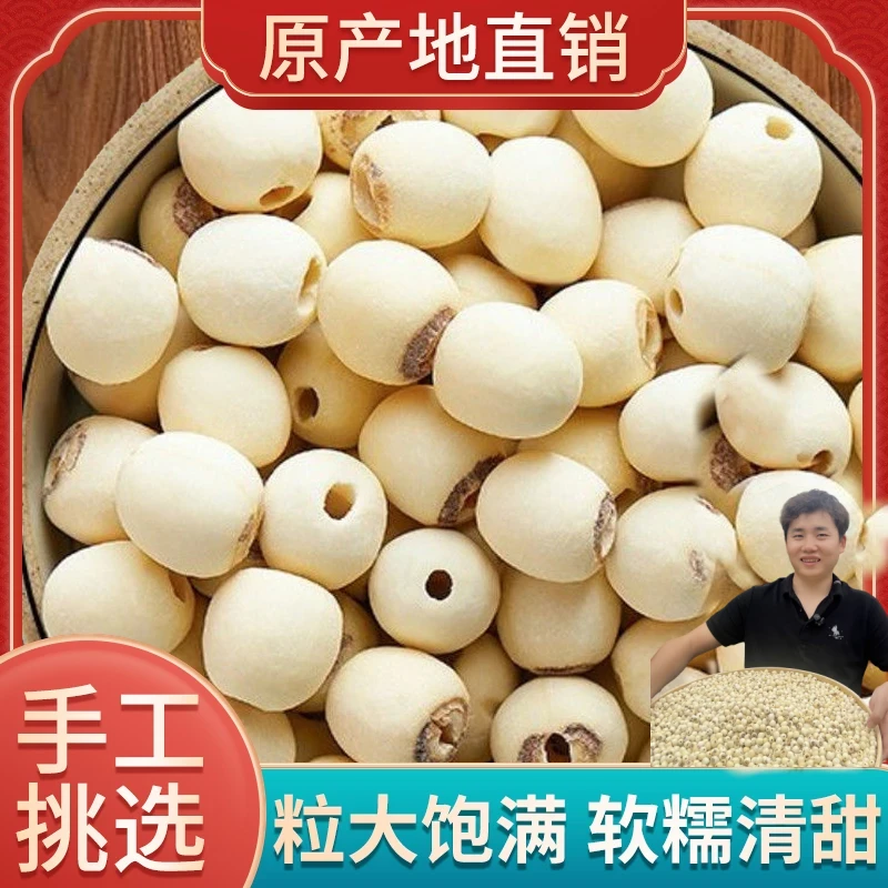 湖南莲子去芯白莲子500g干货新鲜大袋装颗粒营养饱满莲子干货