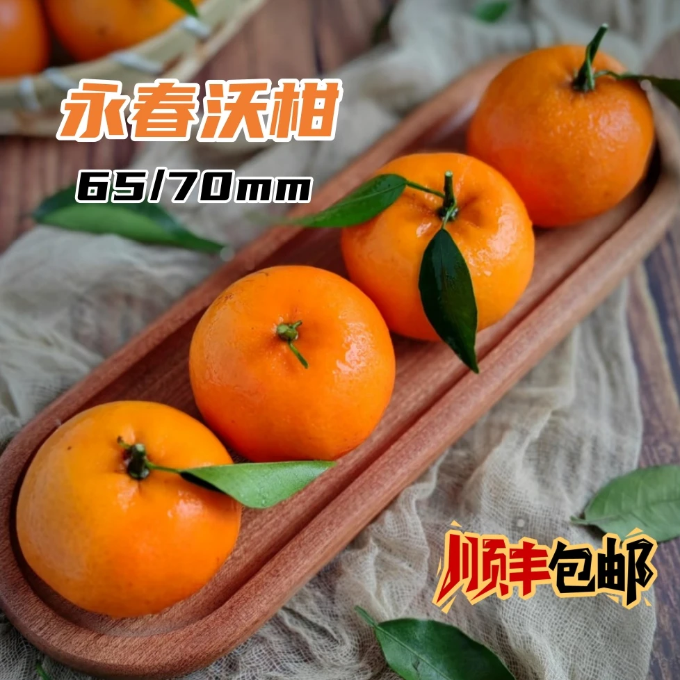 【5斤装】福建永春沃柑65/70果新鲜应季水果果园直发皮薄多汁