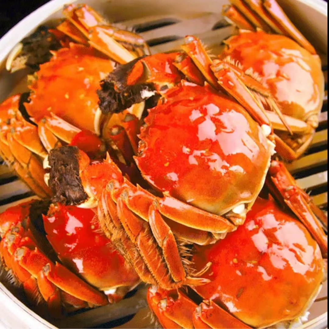 【活蟹】精品河母蟹2-1.7两/只 11只顺丰包邮