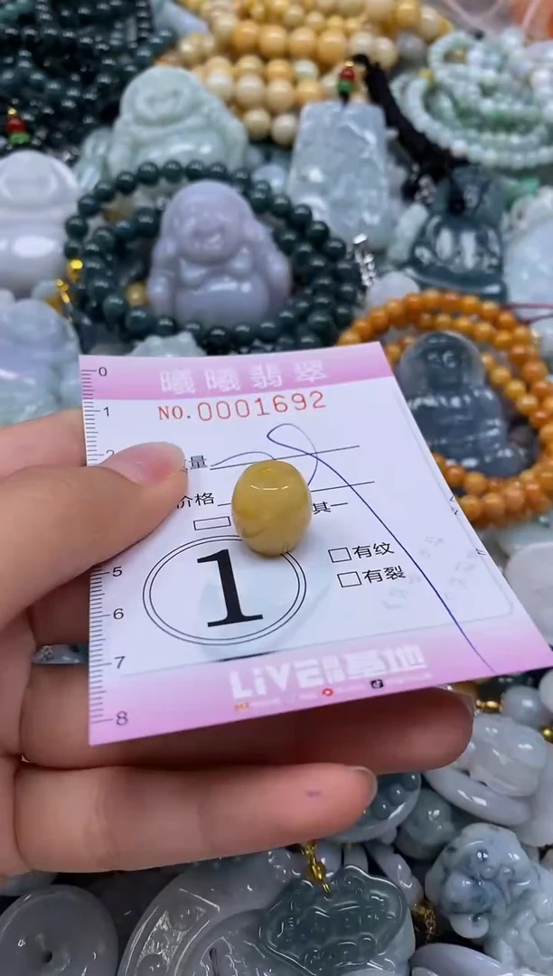 翡翠未镶嵌颈饰闪购0001692