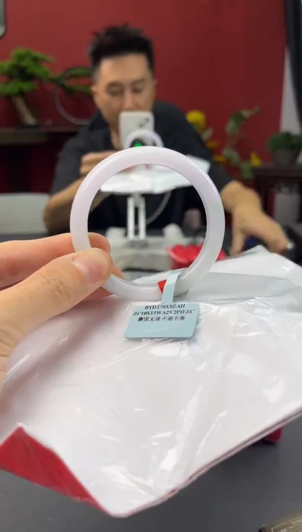未镶嵌手镯翡翠6