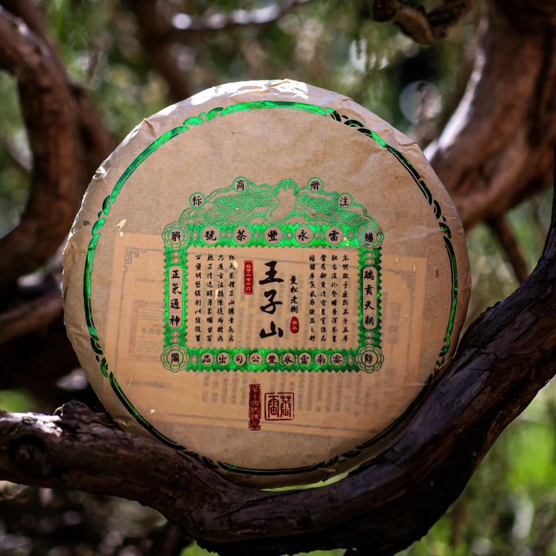 懂茶帝-雷永丰贡茶2023年曼松绿票 生茶 200g