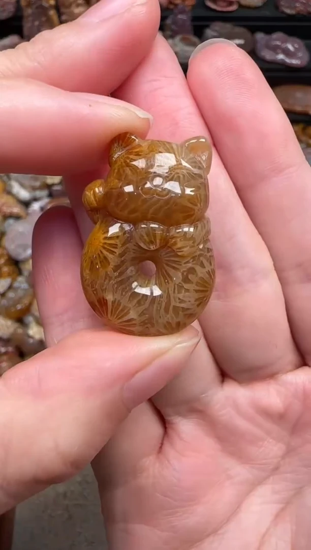 颈饰未镶嵌硅化珊瑚（珊瑚玉）401