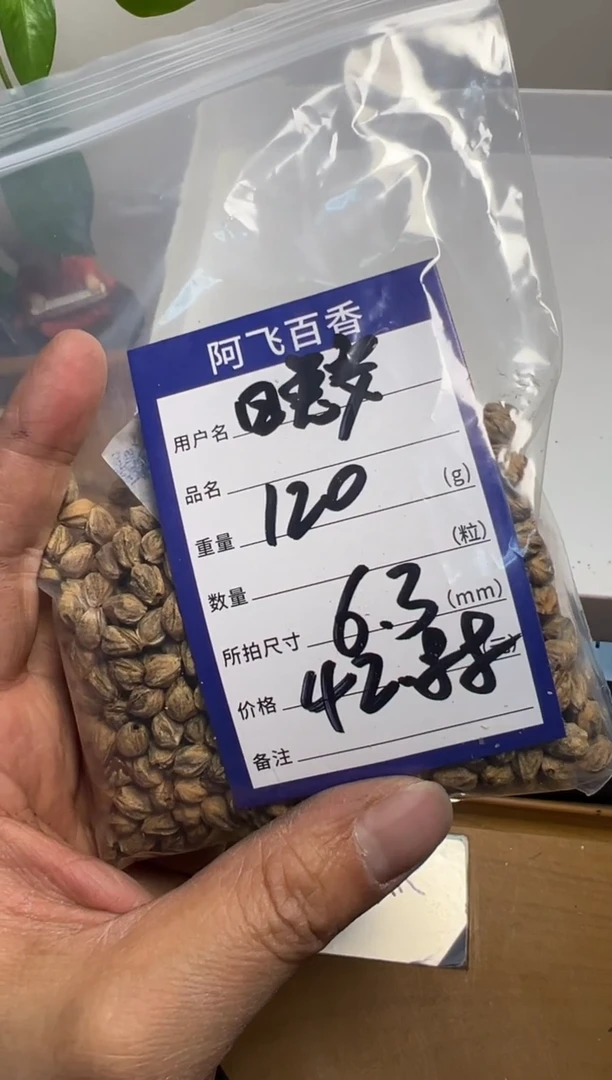 【闪购商品】柏香籽/百香籽吊坠42.88