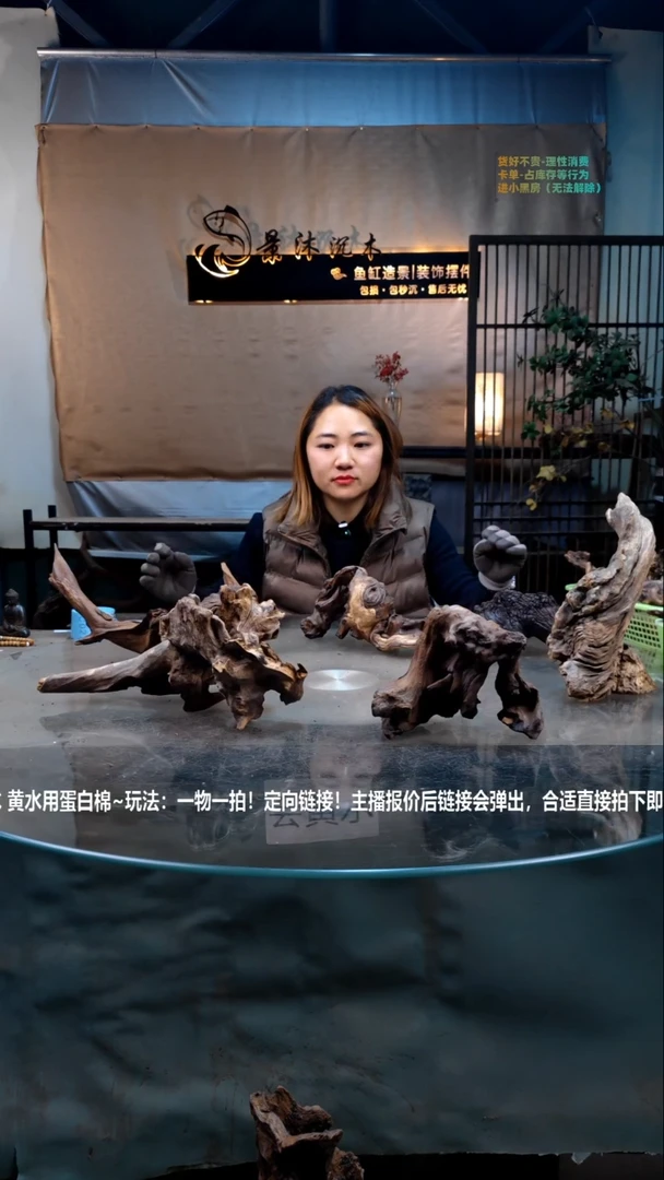 【闪购商品】景沐沉木C022景沐沉木C022 不沉水