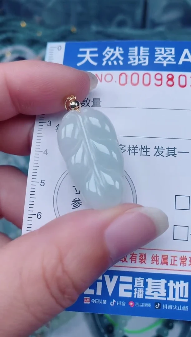 颈饰未镶嵌翡翠00009803