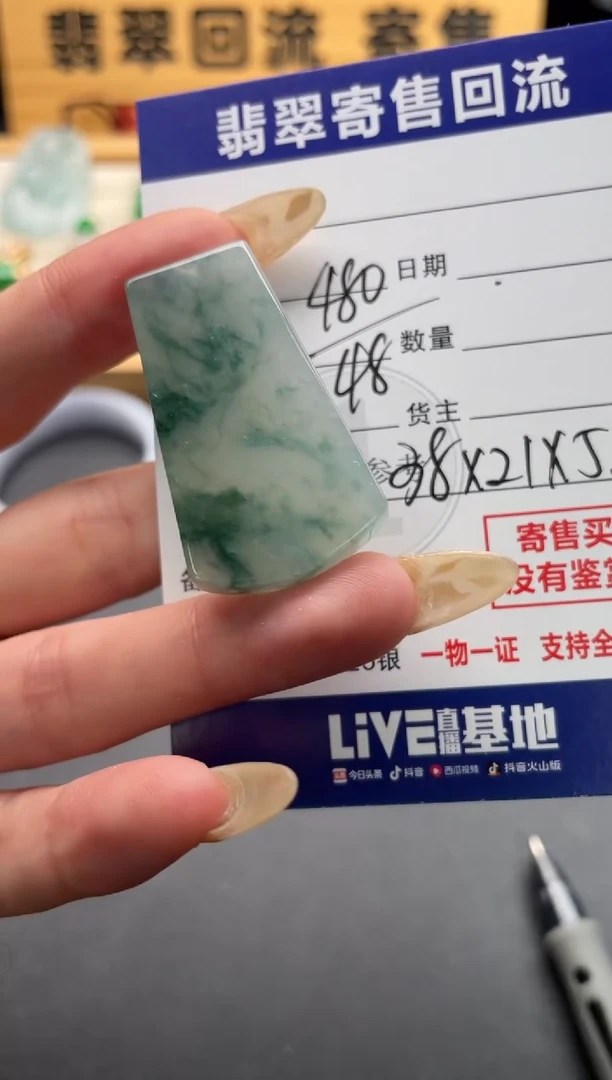 颈饰未镶嵌翡翠10146765