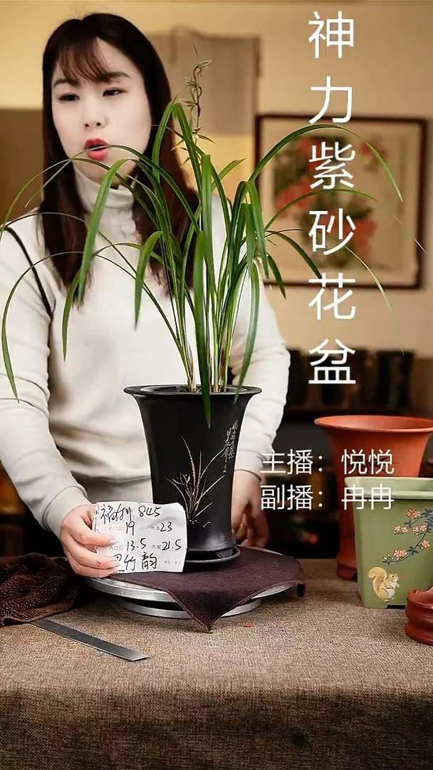 紫砂花盆花卉工艺845+z