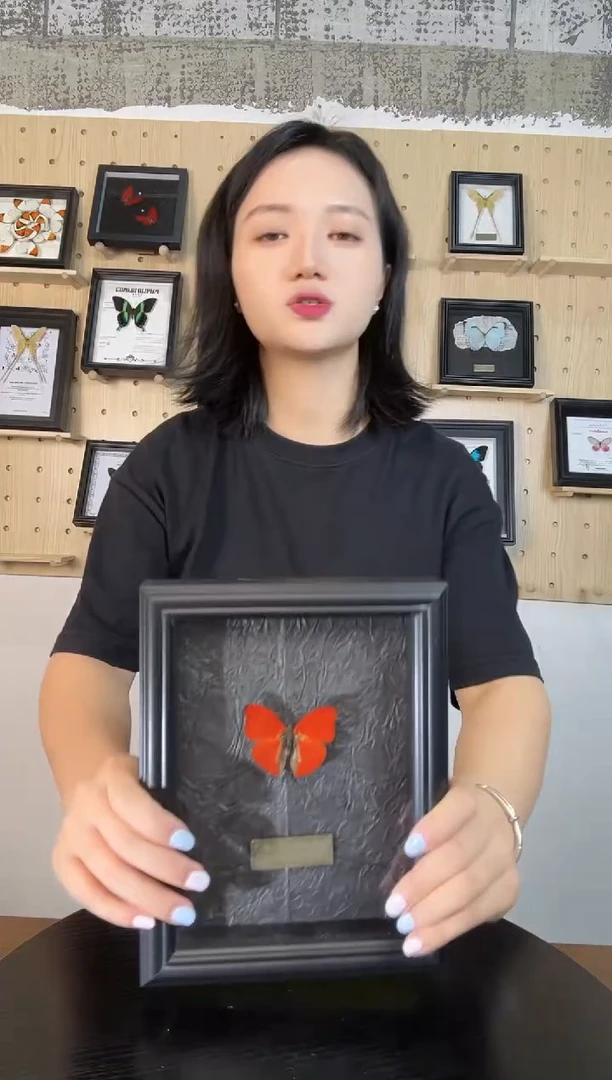 血漪蛱蝶（蝴蝶装饰画7寸框）