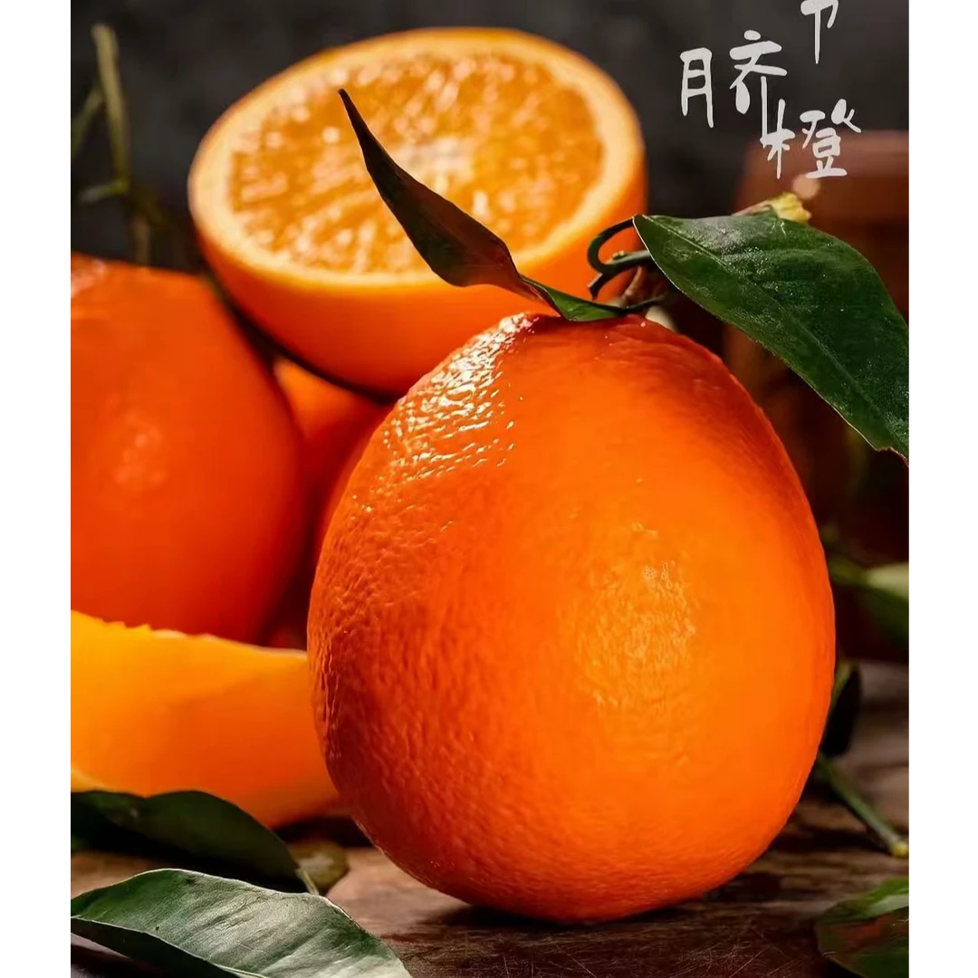 奉节脐橙10斤20斤新鲜现摘现发带叶发货脆甜化渣
