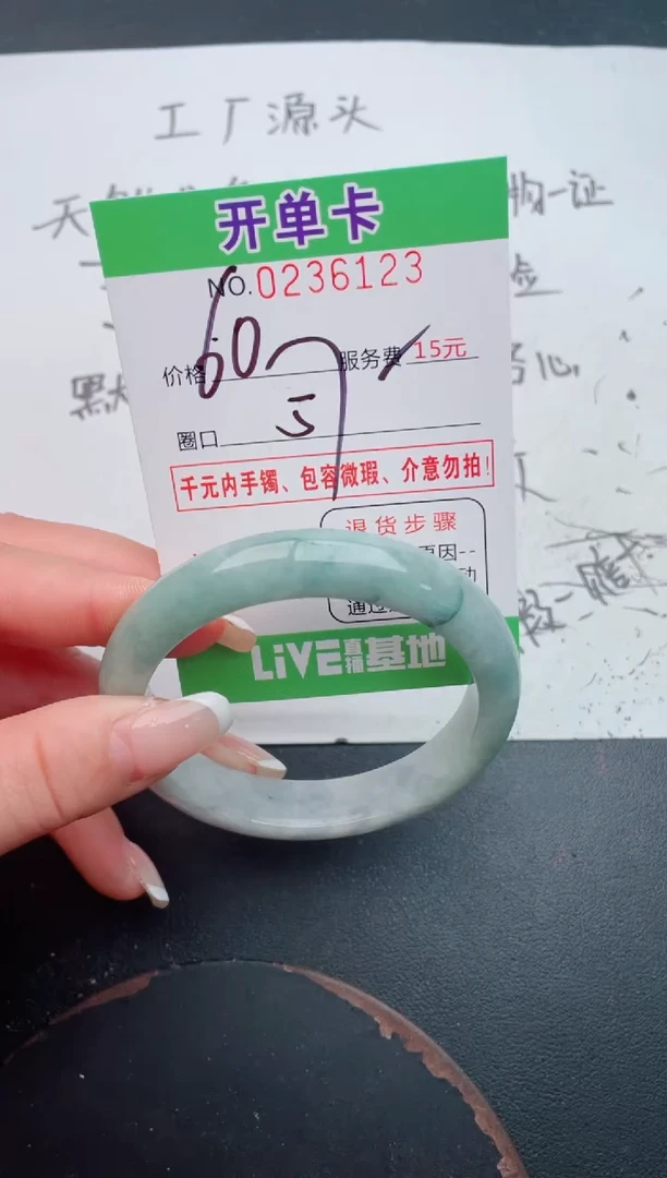 未镶嵌手镯翡翠23