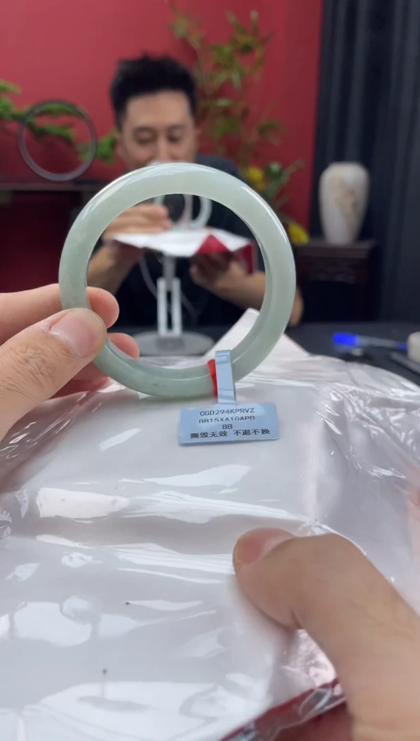 未镶嵌手镯翡翠15