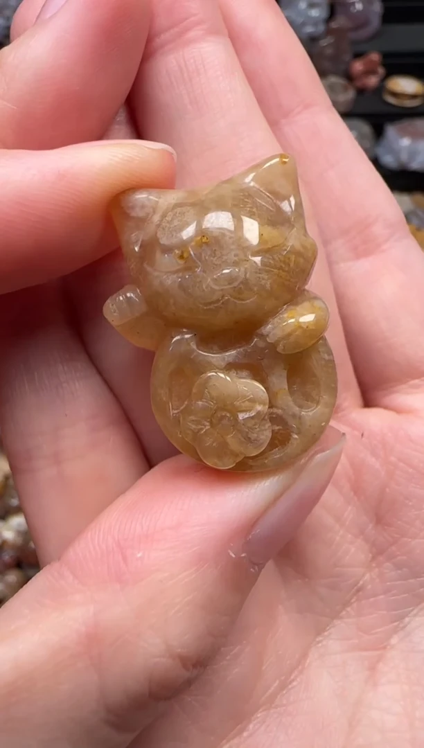 颈饰未镶嵌硅化珊瑚（珊瑚玉）726