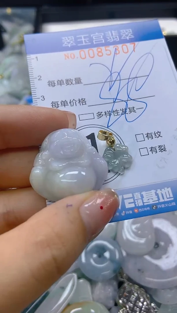 【闪购商品】翡翠颈饰未镶嵌闪购0085307