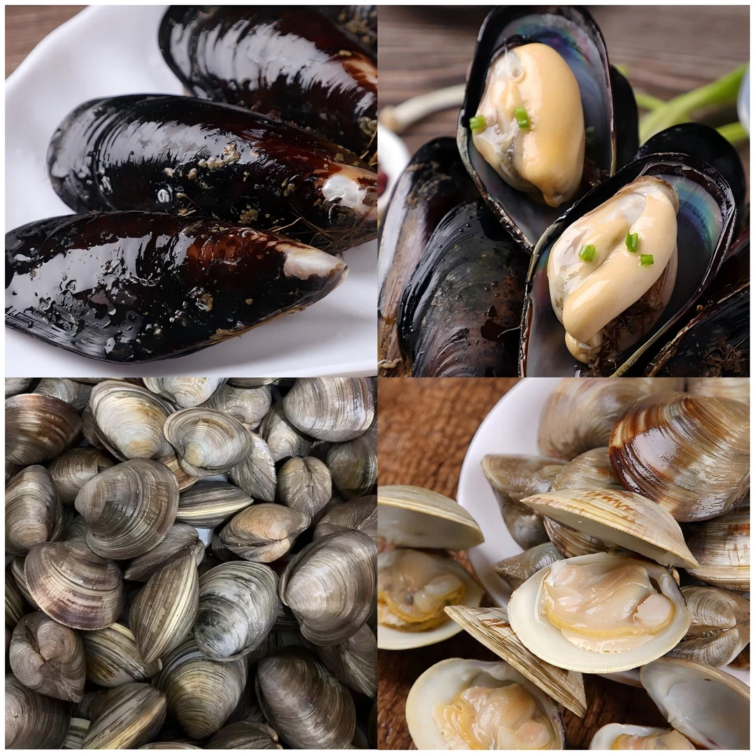 4斤青口贝+4斤大蛤蜊共8斤整箱发货