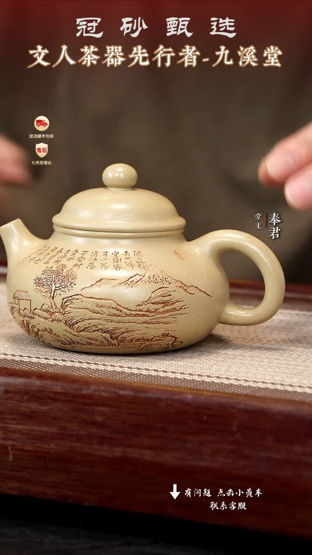 茶壶紫砂九溪堂壶s3