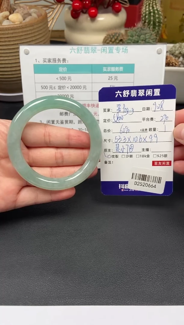 未镶嵌手镯翡翠雾****yD2520664