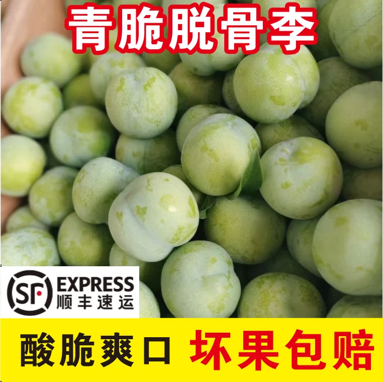 【顺丰包邮】贵州青脆李新鲜采摘人工挑选酸脆李脱骨李孕妇水果