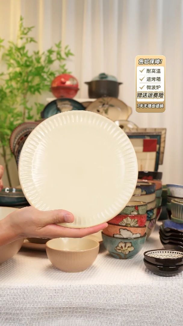 瓷片2只装8寸平盘1111