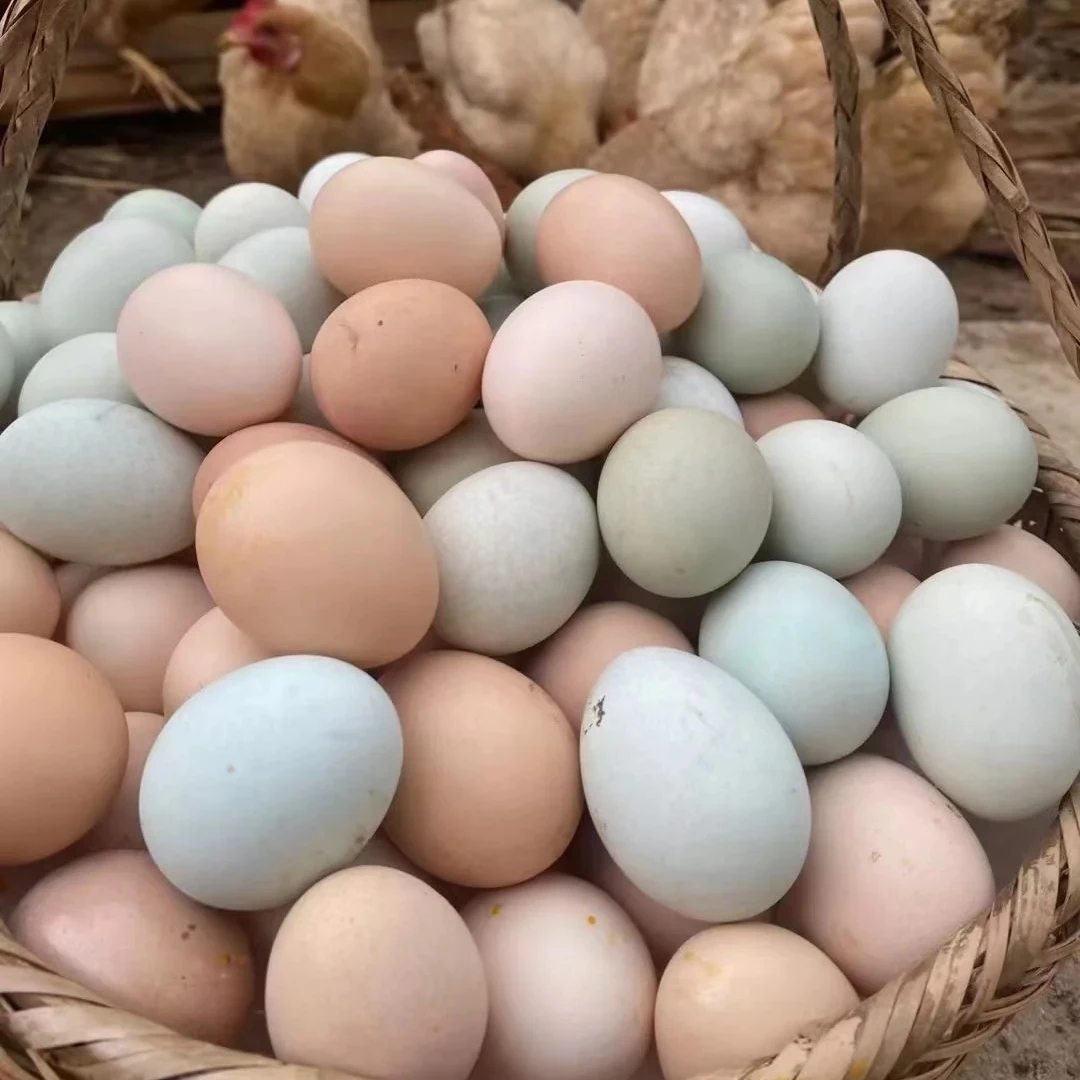 青原山散养土鸡蛋整板30颗