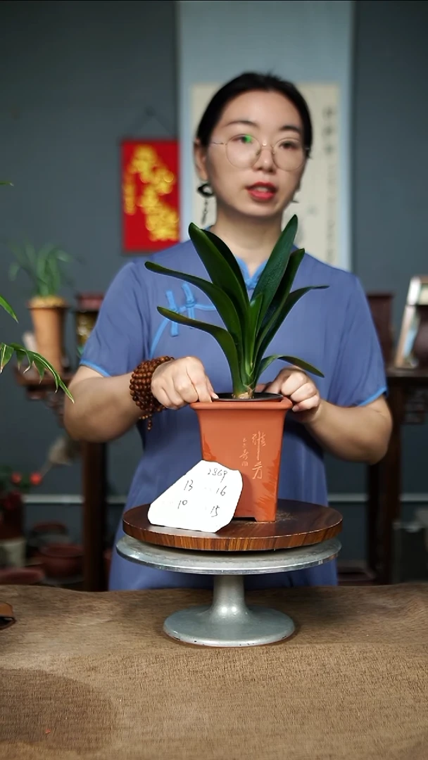 紫砂花盆2869  紫砂花盆紫砂