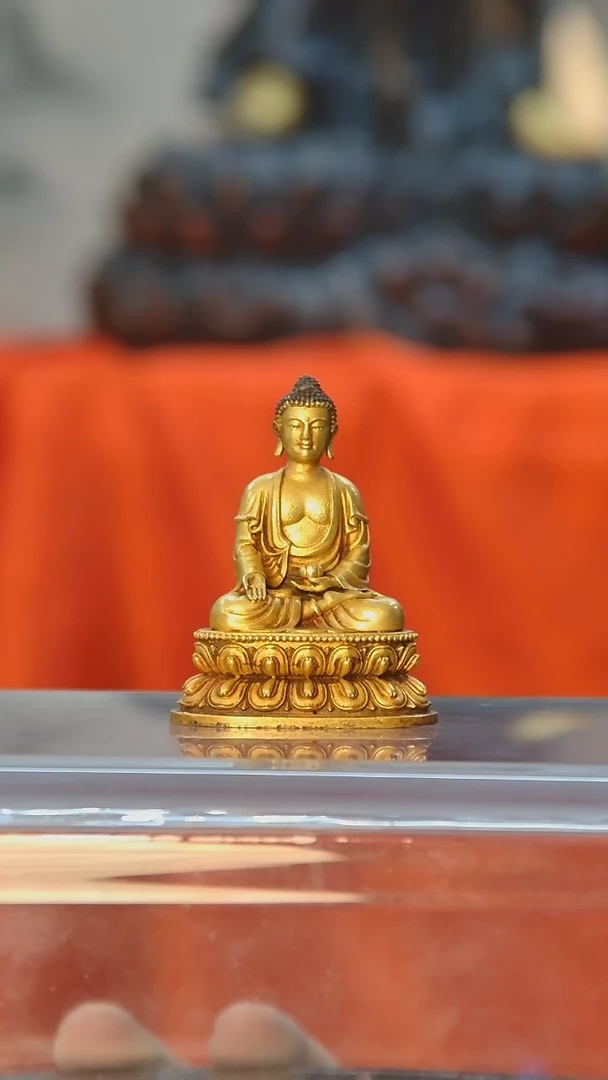 【闪购商品】佛佛佛佛佛佛佛佛佛佛佛