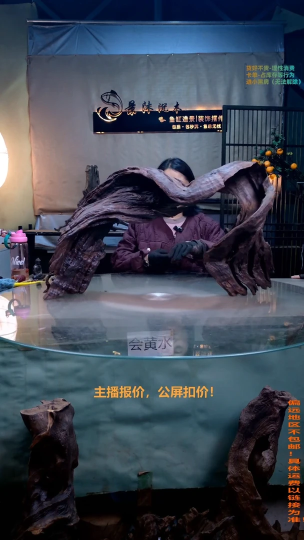 摆件景沐沉木J947 72-22-42