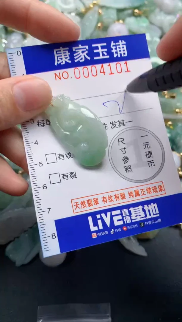 颈饰未镶嵌翡翠4101