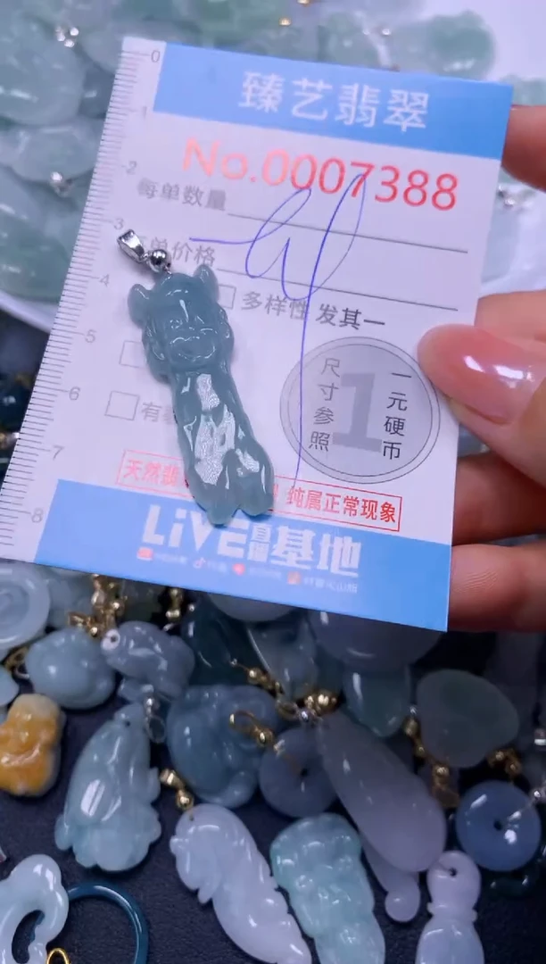 颈饰未镶嵌翡翠7388