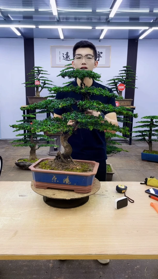 无花朵博****具00000000