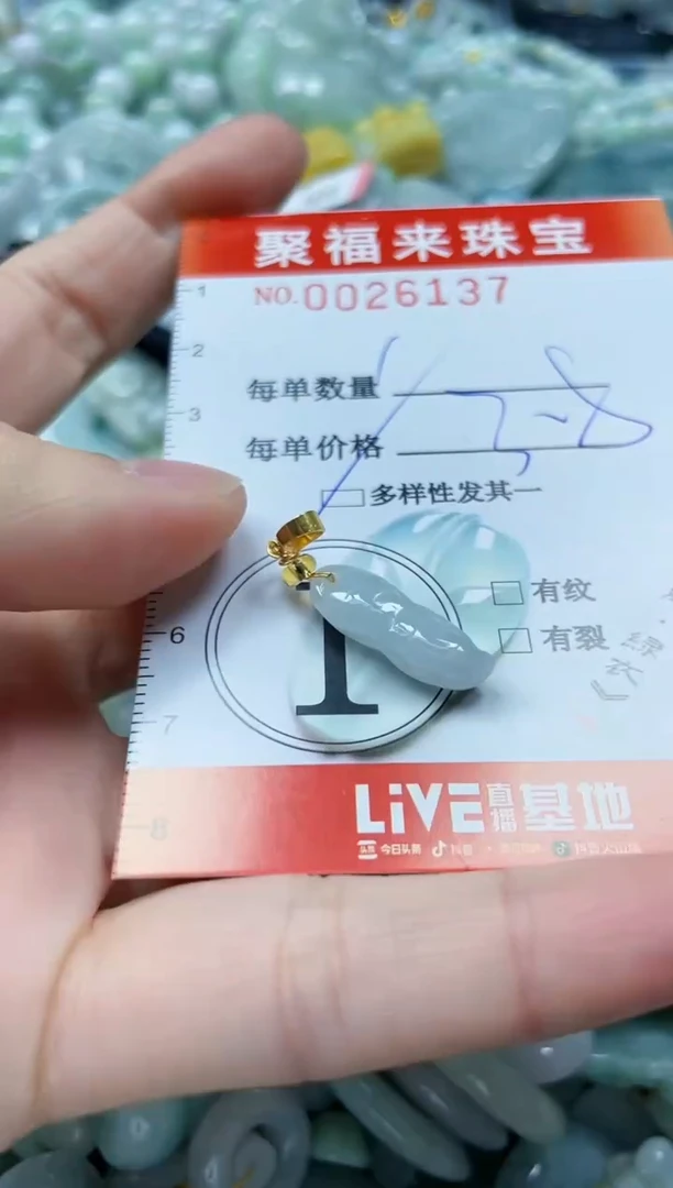 【闪购商品】翡翠颈饰未镶嵌闪购0026137多样性发其一