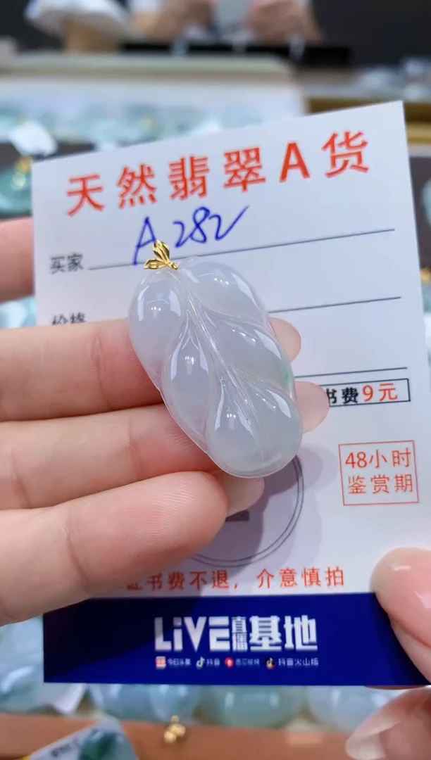 颈饰未镶嵌翡翠天然翡翠A货挂件