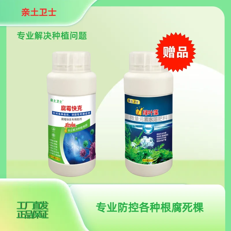 腐霉快克根腐茎基腐青枯枯黄萎大姜烂脖子大姜蔬菜果树中药材