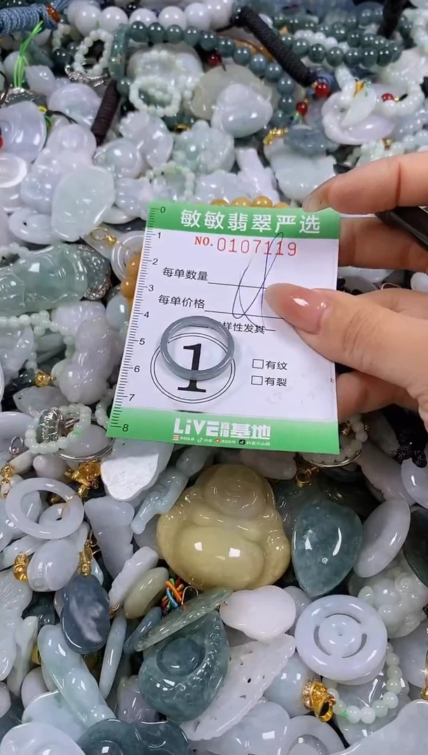 【闪购商品】翡翠颈饰未镶嵌闪购0107119
