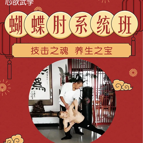 蝴蝶肘系统学习班