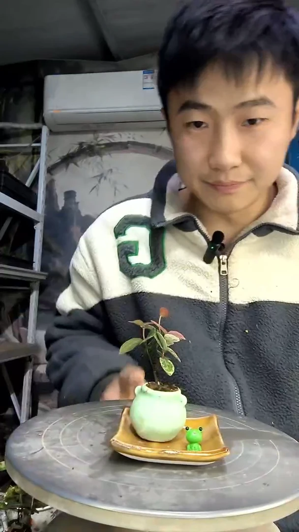 拜**e中青园艺一物一拍花108