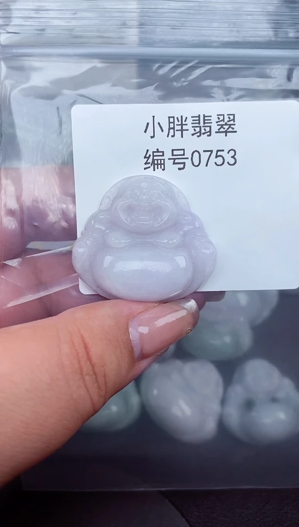 翡翠未镶嵌颈饰缅甸天然A货翡翠0753