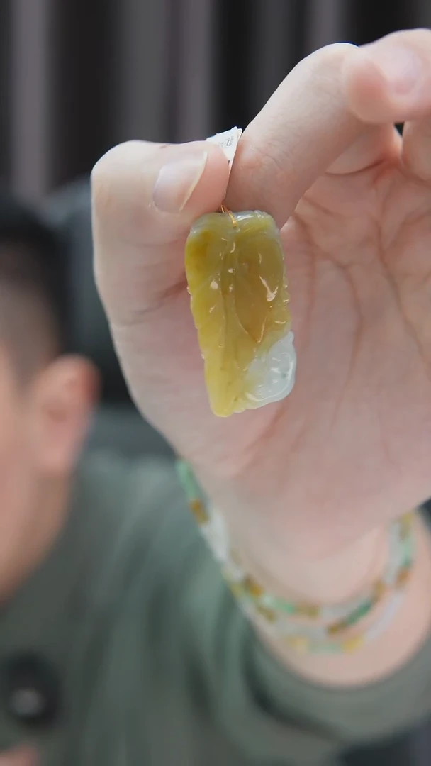 颈饰未镶嵌翡翠挂件H0002