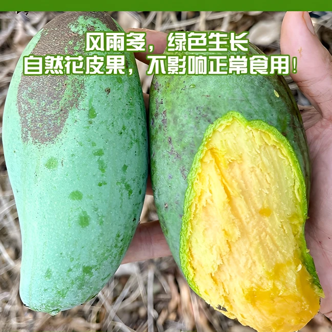 【买一送一】正宗田东桂⑦芒果老树微花皮香甜百色直发直播香芒包邮2