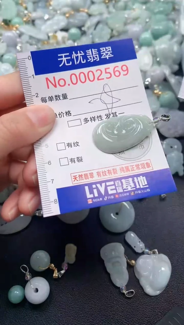 颈饰未镶嵌翡翠2569