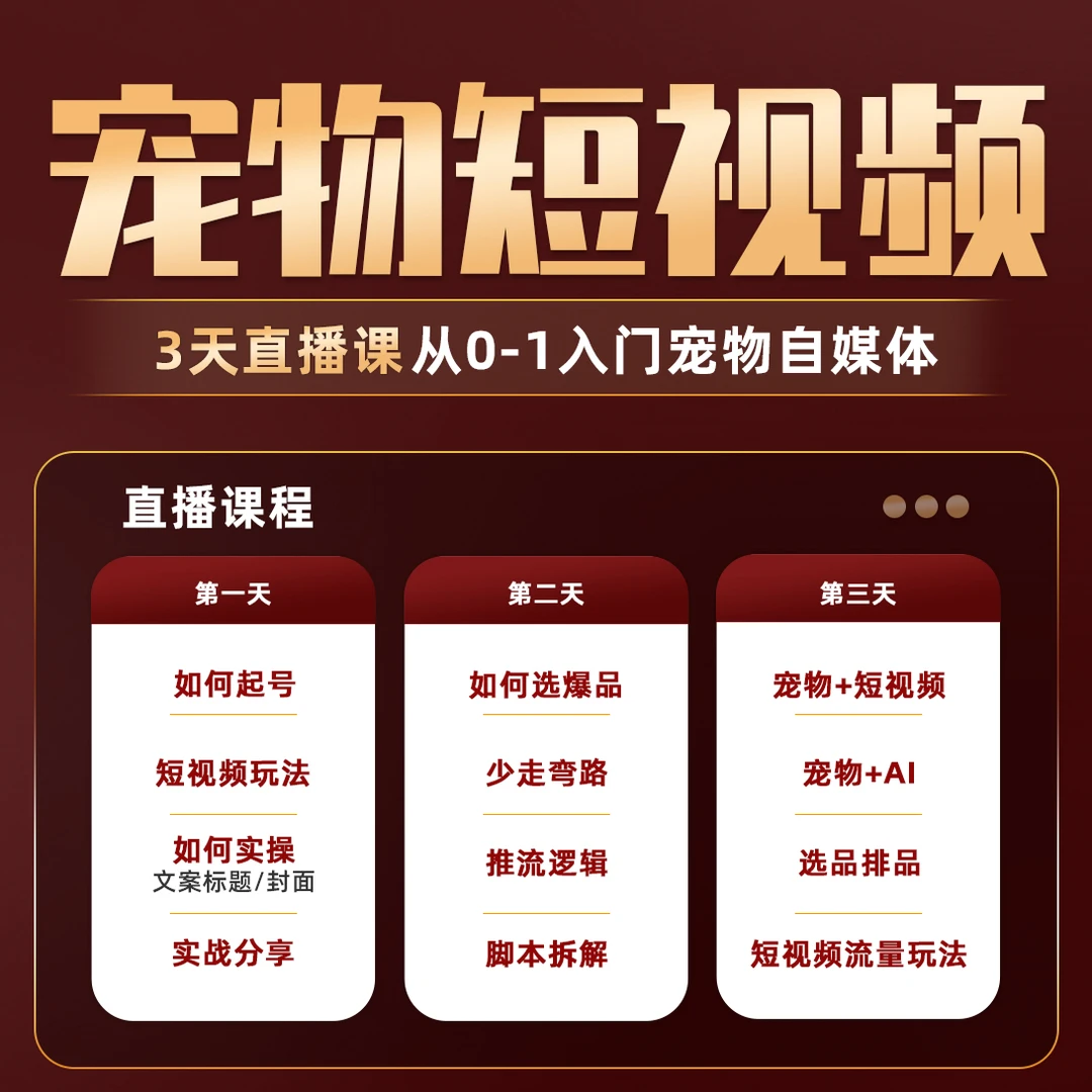 【段】小白如何入行宠物赛道c