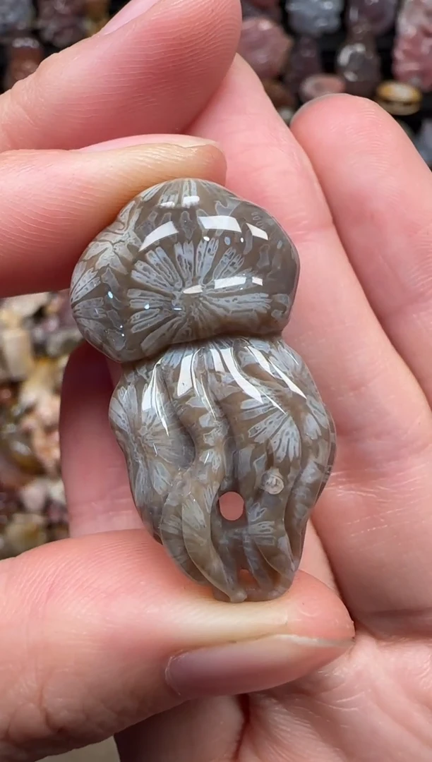 颈饰未镶嵌硅化珊瑚（珊瑚玉）335