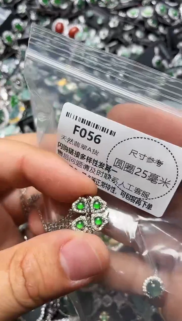 翡翠未镶嵌颈饰F056项链